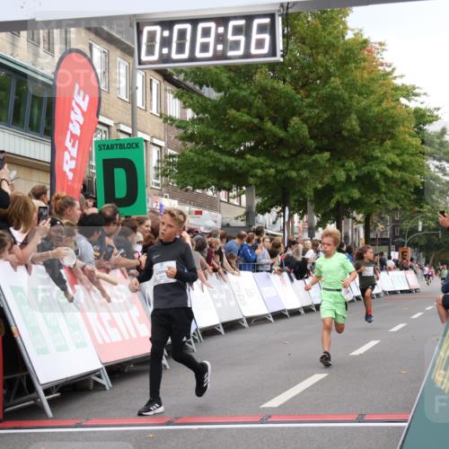 21.09.2025 - PSD Bank Halbmarathon Strokosch-Dieckow http://msf.ph/oto/8938843 21.09.2025 10:26:28 Ziel 120, 207, 211, 314, 334, 384 meine-sportfotos.de