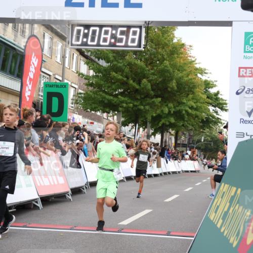 21.09.2025 - PSD Bank Halbmarathon Strokosch-Dieckow http://msf.ph/oto/8938846 21.09.2025 10:26:29 Ziel 120, 207, 211, 334, 384 meine-sportfotos.de
