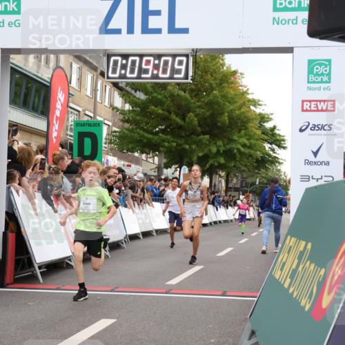 21.09.2025 - PSD Bank Halbmarathon Strokosch-Dieckow http://msf.ph/oto/8938852 21.09.2025 10:26:41 Ziel 111, 347, 348 meine-sportfotos.de
