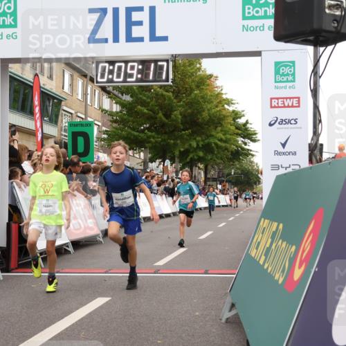 21.09.2025 - PSD Bank Halbmarathon Strokosch-Dieckow http://msf.ph/oto/8938866 21.09.2025 10:26:49 Ziel 111, 143, 152, 297, 348, 379, 396 meine-sportfotos.de
