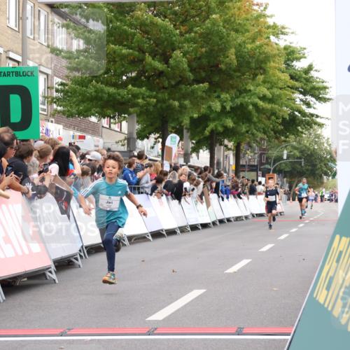 21.09.2025 - PSD Bank Halbmarathon Strokosch-Dieckow http://msf.ph/oto/8938871 21.09.2025 10:26:52 Ziel 143, 152, 297, 379, 396 meine-sportfotos.de