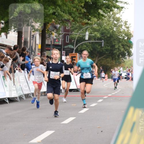 21.09.2025 - PSD Bank Halbmarathon Strokosch-Dieckow http://msf.ph/oto/8938875 21.09.2025 10:26:55 Ziel 143, 152, 210, 283, 297, 360, 396 meine-sportfotos.de