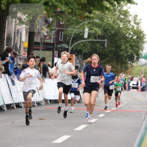 21.09.2025 - PSD Bank Halbmarathon Strokosch-Dieckow http://msf.ph/oto/8938895 21.09.2025 10:27:18 Ziel 239, 329, 358 meine-sportfotos.de