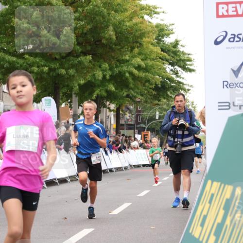 21.09.2025 - PSD Bank Halbmarathon Strokosch-Dieckow http://msf.ph/oto/8938905 21.09.2025 10:27:25 Ziel 239, 242, 298, 329, 330, 398 meine-sportfotos.de