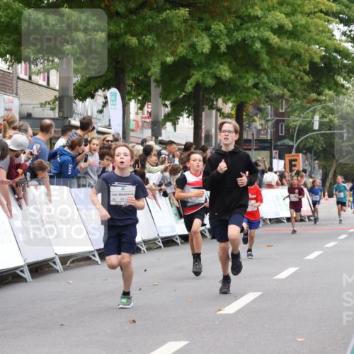 21.09.2025 - PSD Bank Halbmarathon Strokosch-Dieckow http://msf.ph/oto/8938917 21.09.2025 10:27:36 Ziel 101, 128, 247, 249, 292, 341, 342, 391 meine-sportfotos.de