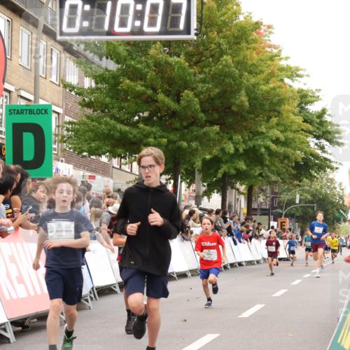 21.09.2025 - PSD Bank Halbmarathon Strokosch-Dieckow http://msf.ph/oto/8938921 21.09.2025 10:27:39 Ziel 101, 247, 249, 292, 341, 342, 391, 399 meine-sportfotos.de
