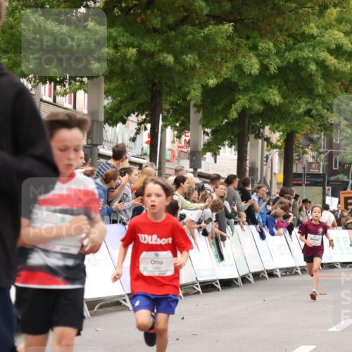 21.09.2025 - PSD Bank Halbmarathon Strokosch-Dieckow http://msf.ph/oto/8938923 21.09.2025 10:27:40 Ziel 101, 247, 249, 341, 342, 391, 399 meine-sportfotos.de