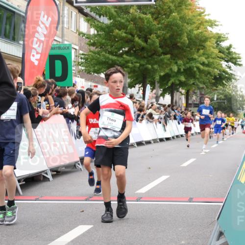 21.09.2025 - PSD Bank Halbmarathon Strokosch-Dieckow http://msf.ph/oto/8938925 21.09.2025 10:27:41 Ziel 101, 107, 249, 341, 342, 391, 399 meine-sportfotos.de