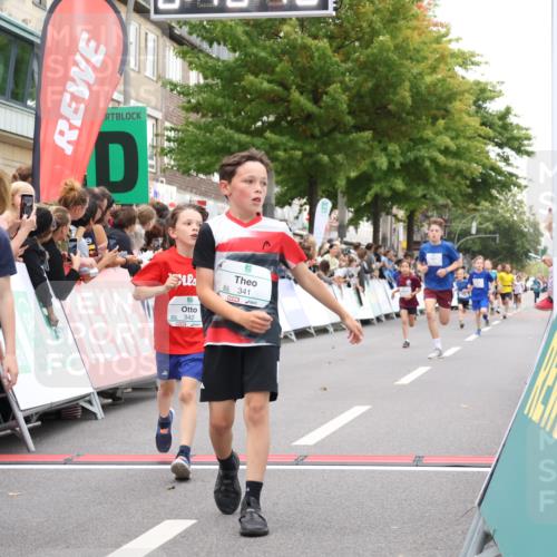 21.09.2025 - PSD Bank Halbmarathon Strokosch-Dieckow http://msf.ph/oto/8938926 21.09.2025 10:27:41 Ziel 101, 107, 249, 341, 342, 391, 399 meine-sportfotos.de
