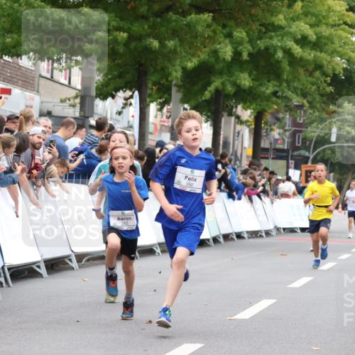 21.09.2025 - PSD Bank Halbmarathon Strokosch-Dieckow http://msf.ph/oto/8938934 21.09.2025 10:27:45 Ziel 107, 149, 249, 262, 341, 342, 391, 392, 399 meine-sportfotos.de