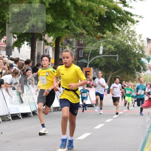 21.09.2025 - PSD Bank Halbmarathon Strokosch-Dieckow http://msf.ph/oto/8938940 21.09.2025 10:27:48 Ziel 107, 149, 262, 342, 362, 392, 399, 436 meine-sportfotos.de