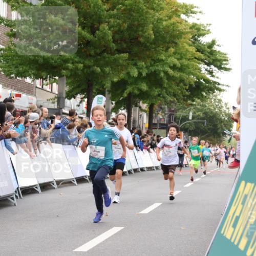 21.09.2025 - PSD Bank Halbmarathon Strokosch-Dieckow http://msf.ph/oto/8938947 21.09.2025 10:27:55 Ziel 144, 149, 354, 362, 367, 436, 451 meine-sportfotos.de