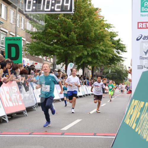 21.09.2025 - PSD Bank Halbmarathon Strokosch-Dieckow http://msf.ph/oto/8938948 21.09.2025 10:27:55 Ziel 144, 149, 354, 362, 367, 436, 451 meine-sportfotos.de