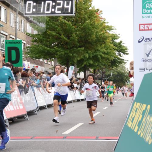 21.09.2025 - PSD Bank Halbmarathon Strokosch-Dieckow http://msf.ph/oto/8938950 21.09.2025 10:27:56 Ziel 144, 203, 354, 362, 367, 436, 451 meine-sportfotos.de