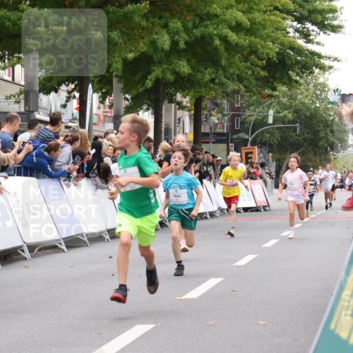 21.09.2025 - PSD Bank Halbmarathon Strokosch-Dieckow http://msf.ph/oto/8938954 21.09.2025 10:27:59 Ziel 144, 203, 241, 254, 289, 354, 362, 367, 401, 451 meine-sportfotos.de