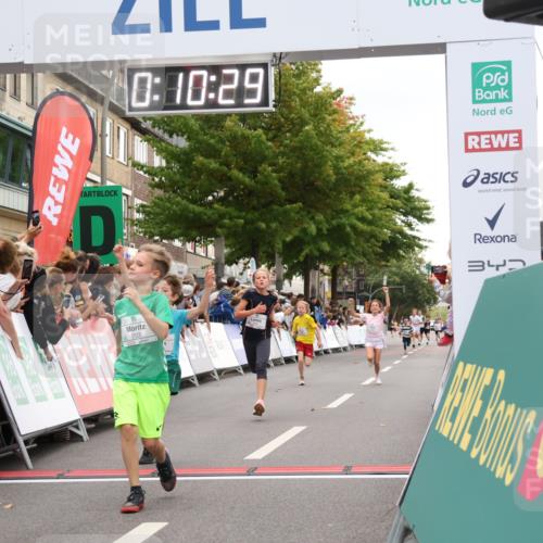 21.09.2025 - PSD Bank Halbmarathon Strokosch-Dieckow http://msf.ph/oto/8938958 21.09.2025 10:28:01 Ziel 144, 203, 241, 254, 289, 354, 367, 401, 451 meine-sportfotos.de