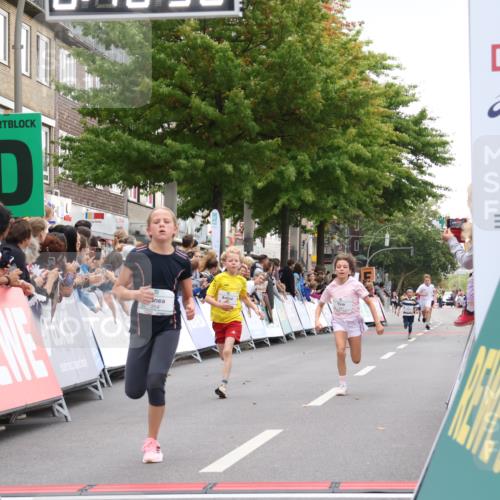 21.09.2025 - PSD Bank Halbmarathon Strokosch-Dieckow http://msf.ph/oto/8938960 21.09.2025 10:28:02 Ziel 144, 203, 241, 254, 289, 354, 367, 401, 451 meine-sportfotos.de