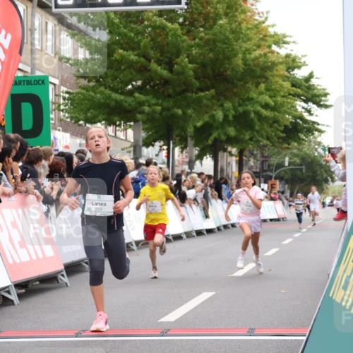 21.09.2025 - PSD Bank Halbmarathon Strokosch-Dieckow http://msf.ph/oto/8938961 21.09.2025 10:28:02 Ziel 144, 203, 241, 254, 289, 354, 367, 401, 451 meine-sportfotos.de