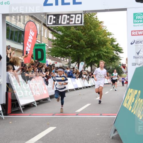 21.09.2025 - PSD Bank Halbmarathon Strokosch-Dieckow http://msf.ph/oto/8938973 21.09.2025 10:28:09 Ziel 241, 253, 254, 289, 356, 401, 411 meine-sportfotos.de