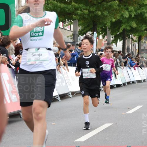 21.09.2025 - PSD Bank Halbmarathon Strokosch-Dieckow http://msf.ph/oto/8938980 21.09.2025 10:28:14 Ziel 220, 253, 288, 356, 411, 442 meine-sportfotos.de