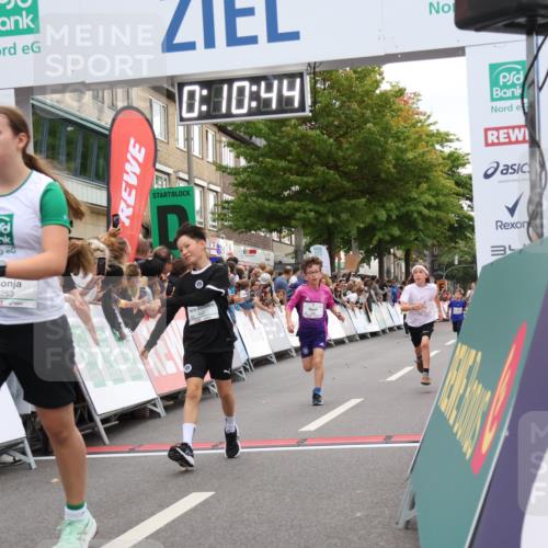 21.09.2025 - PSD Bank Halbmarathon Strokosch-Dieckow http://msf.ph/oto/8938983 21.09.2025 10:28:16 Ziel 220, 253, 288, 356, 411, 442 meine-sportfotos.de