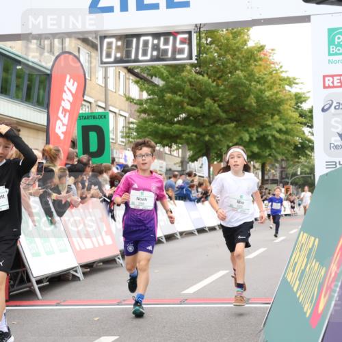 21.09.2025 - PSD Bank Halbmarathon Strokosch-Dieckow http://msf.ph/oto/8938985 21.09.2025 10:28:17 Ziel 213, 220, 253, 288, 356, 411, 442 meine-sportfotos.de
