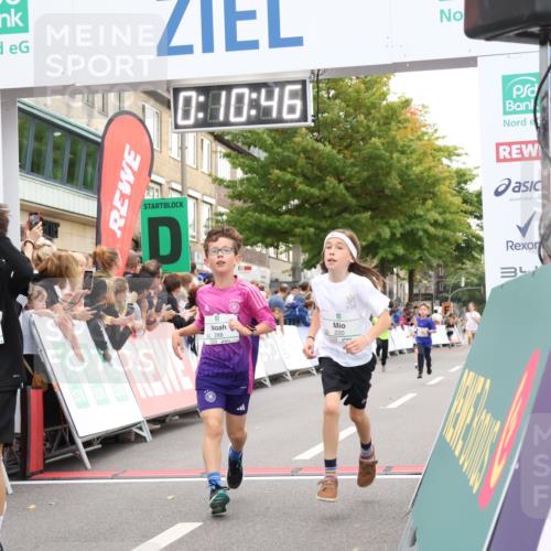 21.09.2025 - PSD Bank Halbmarathon Strokosch-Dieckow http://msf.ph/oto/8938986 21.09.2025 10:28:17 Ziel 213, 220, 253, 288, 356, 411, 442 meine-sportfotos.de