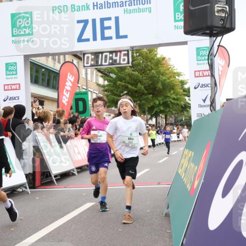 21.09.2025 - PSD Bank Halbmarathon Strokosch-Dieckow http://msf.ph/oto/8938987 21.09.2025 10:28:18 Ziel 213, 220, 253, 270, 288, 356, 425, 442 meine-sportfotos.de