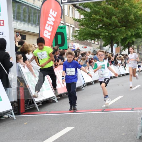 21.09.2025 - PSD Bank Halbmarathon Strokosch-Dieckow http://msf.ph/oto/8938993 21.09.2025 10:28:22 Ziel 213, 220, 240, 270, 288, 425, 442 meine-sportfotos.de