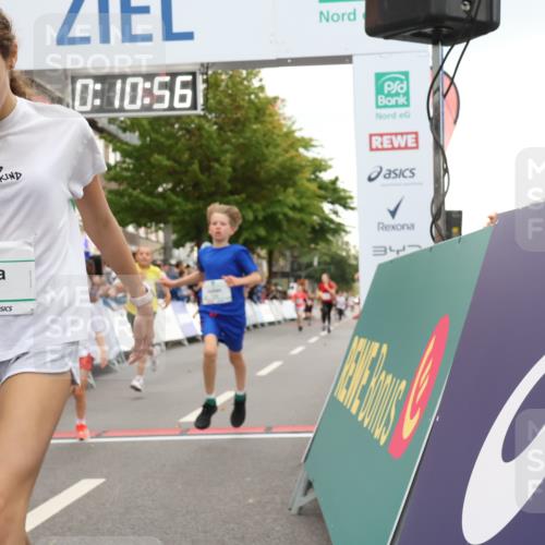 21.09.2025 - PSD Bank Halbmarathon Strokosch-Dieckow http://msf.ph/oto/8939003 21.09.2025 10:28:28 Ziel 157, 158, 163, 213, 240, 270, 316, 425, 461 meine-sportfotos.de