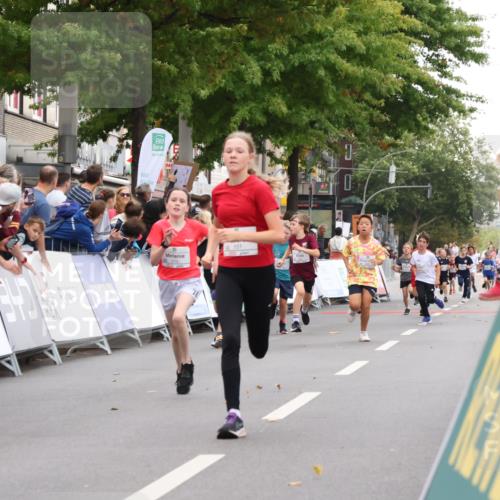 21.09.2025 - PSD Bank Halbmarathon Strokosch-Dieckow http://msf.ph/oto/8939009 21.09.2025 10:28:31 Ziel 157, 158, 163, 215, 240, 316, 317, 321, 461 meine-sportfotos.de