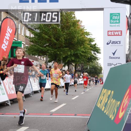 21.09.2025 - PSD Bank Halbmarathon Strokosch-Dieckow http://msf.ph/oto/8939018 21.09.2025 10:28:36 Ziel 123, 150, 157, 197, 204, 205, 215, 316, 317, 321, 426, 461 meine-sportfotos.de