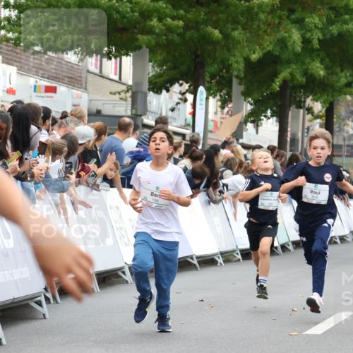 21.09.2025 - PSD Bank Halbmarathon Strokosch-Dieckow http://msf.ph/oto/8939028 21.09.2025 10:28:43 Ziel 123, 150, 197, 198, 204, 205, 317, 321, 361, 374, 426, 437 meine-sportfotos.de
