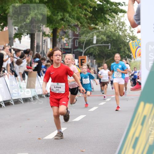 21.09.2025 - PSD Bank Halbmarathon Strokosch-Dieckow http://msf.ph/oto/8939043 21.09.2025 10:28:52 Ziel 126, 198, 255, 266, 357, 361, 371, 374, 388, 389, 397, 408, 437, 440 meine-sportfotos.de