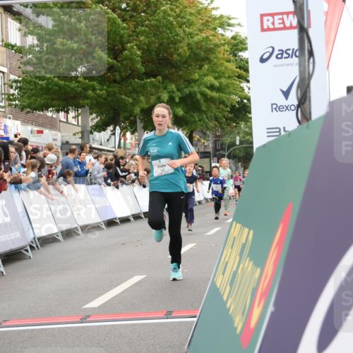 21.09.2025 - PSD Bank Halbmarathon Strokosch-Dieckow http://msf.ph/oto/8939059 21.09.2025 10:29:05 Ziel 109, 134, 142, 167, 193, 194, 212, 258, 294, 337, 338, 412, 415, 452 meine-sportfotos.de