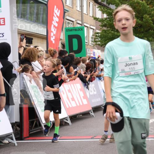 21.09.2025 - PSD Bank Halbmarathon Strokosch-Dieckow http://msf.ph/oto/8939073 21.09.2025 10:29:13 Ziel 134, 155, 168, 196, 267, 294, 443, 452 meine-sportfotos.de