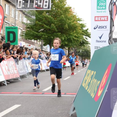 21.09.2025 - PSD Bank Halbmarathon Strokosch-Dieckow http://msf.ph/oto/8939083 21.09.2025 10:29:19 Ziel 155, 168, 267, 327, 390, 395, 416, 443 meine-sportfotos.de