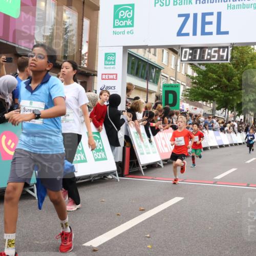 21.09.2025 - PSD Bank Halbmarathon Strokosch-Dieckow http://msf.ph/oto/8939094 21.09.2025 10:29:26 Ziel 233, 261, 327, 345, 381, 390, 395, 416, 434, 455 meine-sportfotos.de