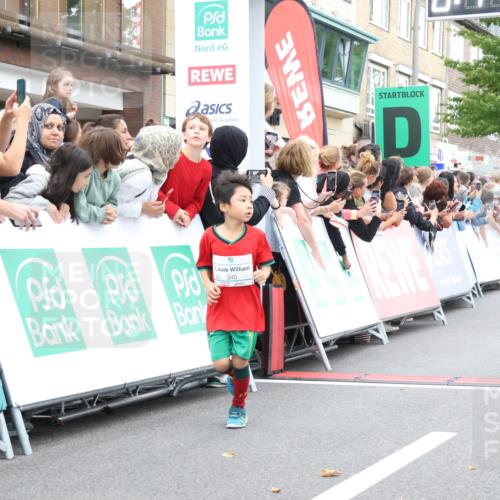 21.09.2025 - PSD Bank Halbmarathon Strokosch-Dieckow http://msf.ph/oto/8939098 21.09.2025 10:29:28 Ziel 233, 250, 261, 345, 381, 390, 395, 434, 455 meine-sportfotos.de
