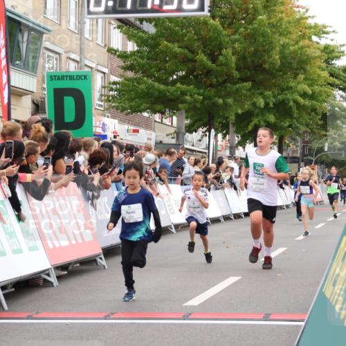 21.09.2025 - PSD Bank Halbmarathon Strokosch-Dieckow http://msf.ph/oto/8939100 21.09.2025 10:29:29 Ziel 233, 250, 261, 301, 345, 381, 390, 395, 434, 455 meine-sportfotos.de