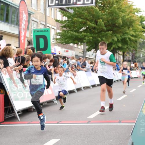 21.09.2025 - PSD Bank Halbmarathon Strokosch-Dieckow http://msf.ph/oto/8939102 21.09.2025 10:29:30 Ziel 166, 233, 250, 261, 301, 345, 381, 390, 395, 406, 434, 455 meine-sportfotos.de