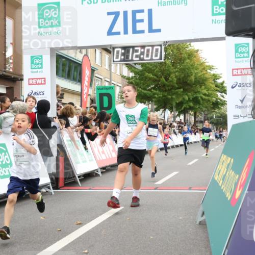 21.09.2025 - PSD Bank Halbmarathon Strokosch-Dieckow http://msf.ph/oto/8939106 21.09.2025 10:29:32 Ziel 166, 233, 250, 261, 301, 345, 381, 406, 434, 455 meine-sportfotos.de