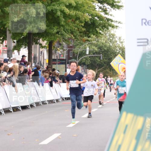 21.09.2025 - PSD Bank Halbmarathon Strokosch-Dieckow http://msf.ph/oto/8939117 21.09.2025 10:29:38 Ziel 132, 166, 233, 250, 301, 328, 381, 406, 453 meine-sportfotos.de