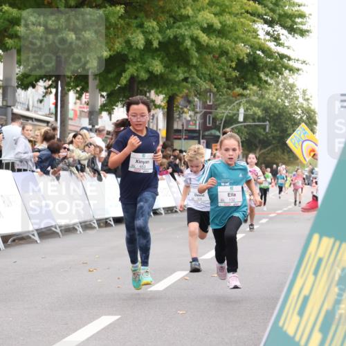 21.09.2025 - PSD Bank Halbmarathon Strokosch-Dieckow http://msf.ph/oto/8939119 21.09.2025 10:29:40 Ziel 132, 166, 301, 328, 406, 453 meine-sportfotos.de