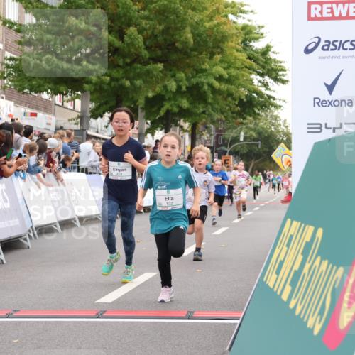 21.09.2025 - PSD Bank Halbmarathon Strokosch-Dieckow http://msf.ph/oto/8939120 21.09.2025 10:29:41 Ziel 132, 166, 301, 328, 393, 406, 453 meine-sportfotos.de