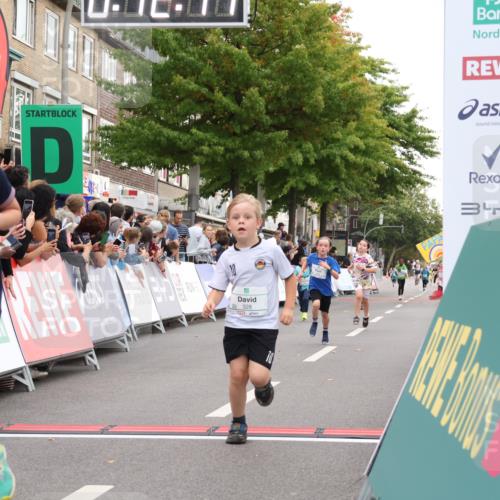 21.09.2025 - PSD Bank Halbmarathon Strokosch-Dieckow http://msf.ph/oto/8939123 21.09.2025 10:29:43 Ziel 132, 235, 328, 393, 453 meine-sportfotos.de