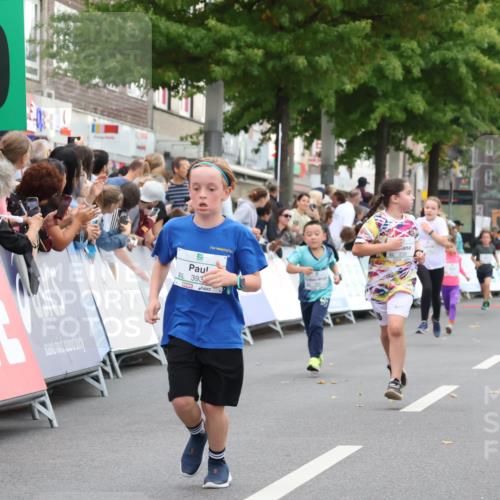 21.09.2025 - PSD Bank Halbmarathon Strokosch-Dieckow http://msf.ph/oto/8939126 21.09.2025 10:29:45 Ziel 103, 132, 235, 300, 328, 393, 453 meine-sportfotos.de