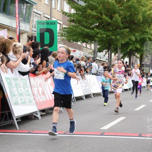 21.09.2025 - PSD Bank Halbmarathon Strokosch-Dieckow http://msf.ph/oto/8939127 21.09.2025 10:29:46 Ziel 103, 132, 235, 271, 300, 328, 393, 453 meine-sportfotos.de