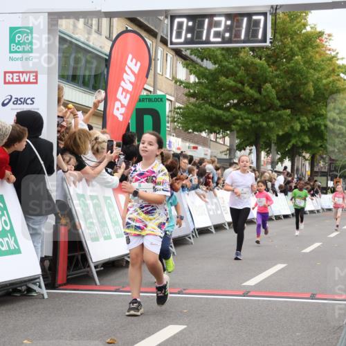 21.09.2025 - PSD Bank Halbmarathon Strokosch-Dieckow http://msf.ph/oto/8939131 21.09.2025 10:29:49 Ziel 103, 132, 235, 271, 296, 300, 319, 328, 393, 453 meine-sportfotos.de