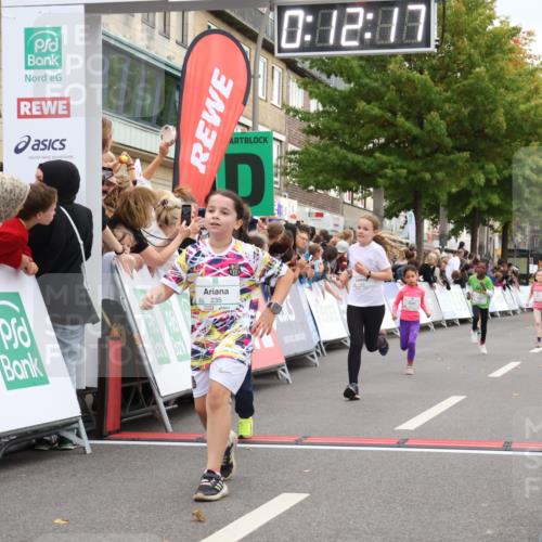 21.09.2025 - PSD Bank Halbmarathon Strokosch-Dieckow http://msf.ph/oto/8939132 21.09.2025 10:29:49 Ziel 103, 132, 235, 271, 296, 300, 319, 328, 393, 453 meine-sportfotos.de